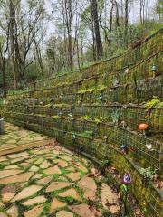 Retaining-Wall-with-various-plantings082123-2