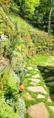 Retaining-Wall-with-various-plantings082123-4